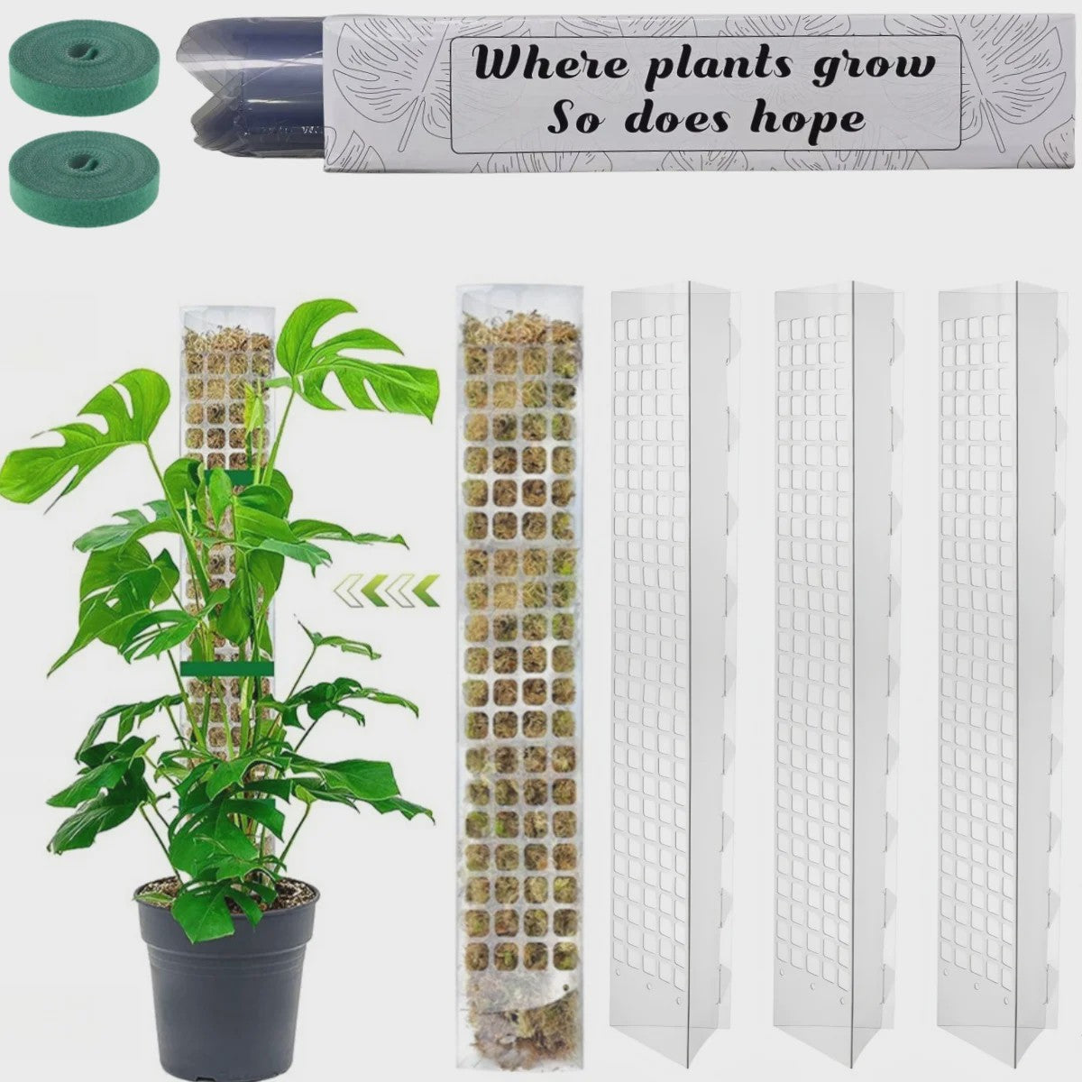 Mospaal voor Klimplanten - Stevige Plantensteun voor Binnen & Tuin