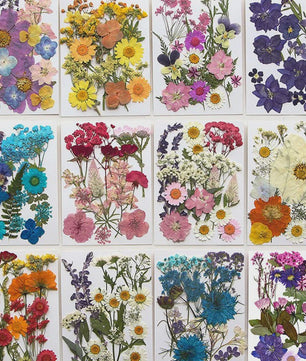 Set Gedroogde Bloemen & Bladeren (16-19 Stuks) - Natuurlijk & Realistisch