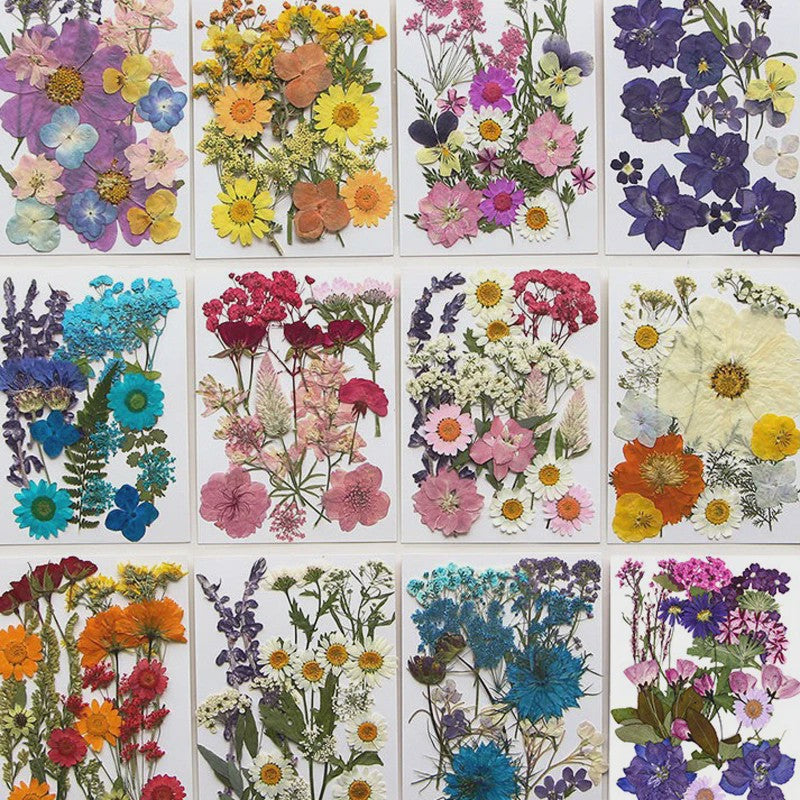 Set Gedroogde Bloemen & Bladeren (16-19 Stuks) - Natuurlijk & Realistisch