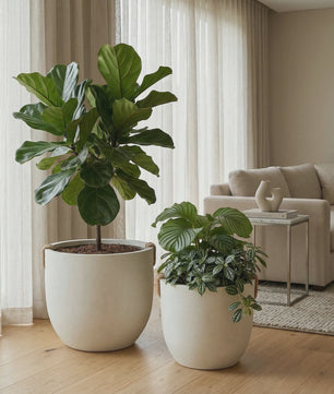 Grote Gevroren Steenlook Bloempot - Stijlvolle Plantenbak voor Bonsai & Balkon