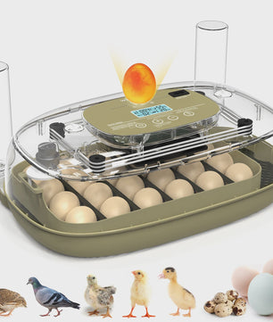 Automatische 24-Eieren Incubator: Temperatuur & Vochtigheid Display, Automatische Watertoevoer, Eiercandler & Keerfunctie