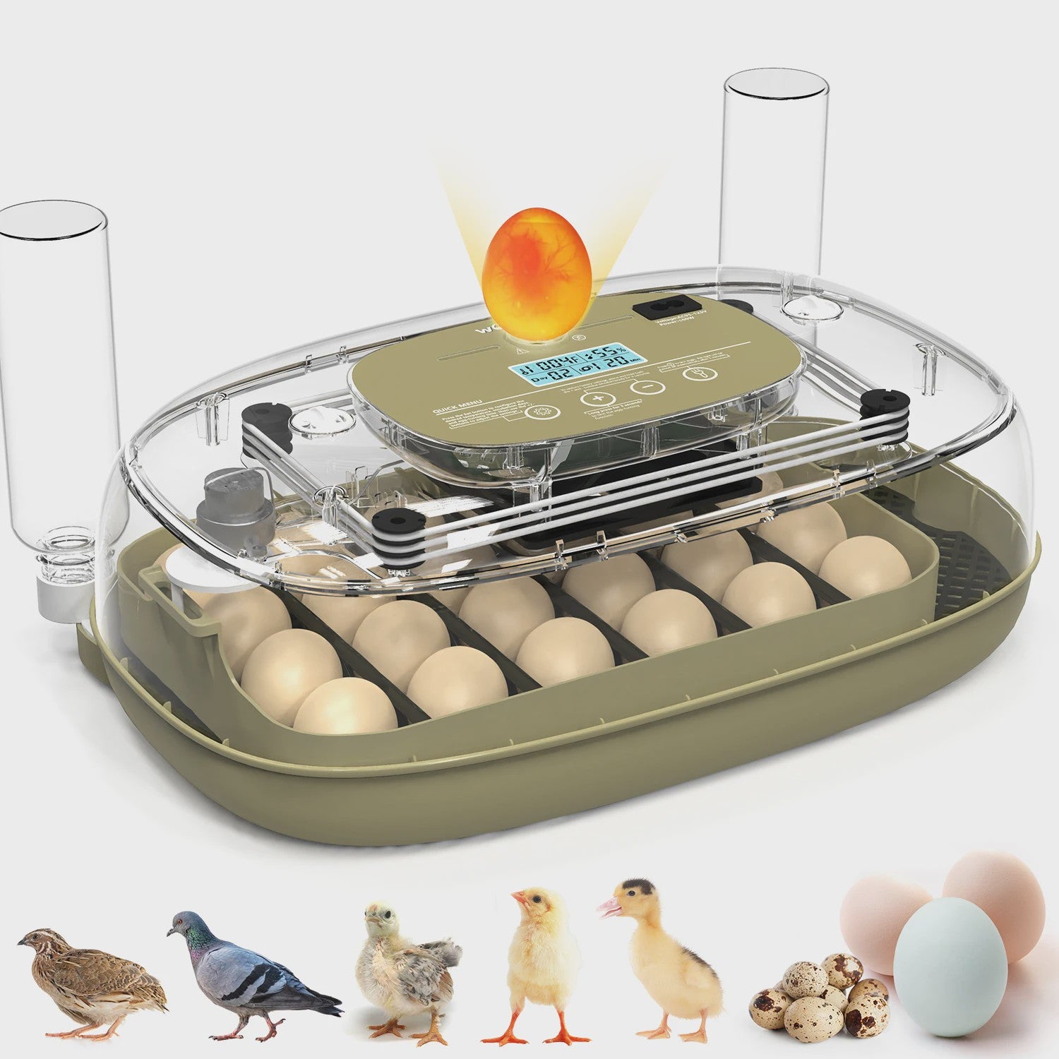 Automatische 24-Eieren Incubator: Temperatuur & Vochtigheid Display, Automatische Watertoevoer, Eiercandler & Keerfunctie
