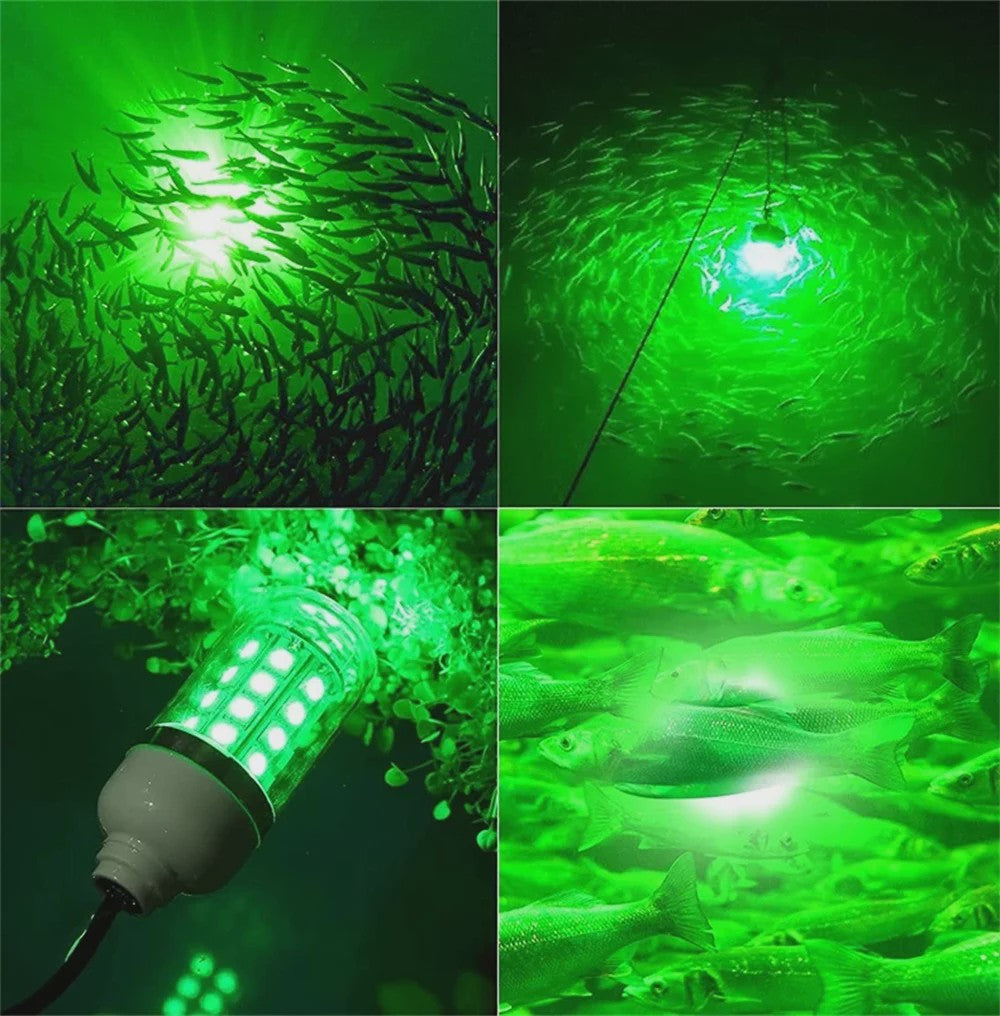 Waterdichte LED Visserslamp Onderwater - 12V AC/DC - Trekt Vis, Garnalen, Inktvis aan