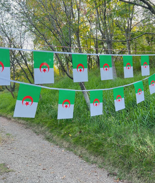 Algerijnse Vlaggetjes Slingers - 20 Stuks - 14x21cm - Feestdecoratie