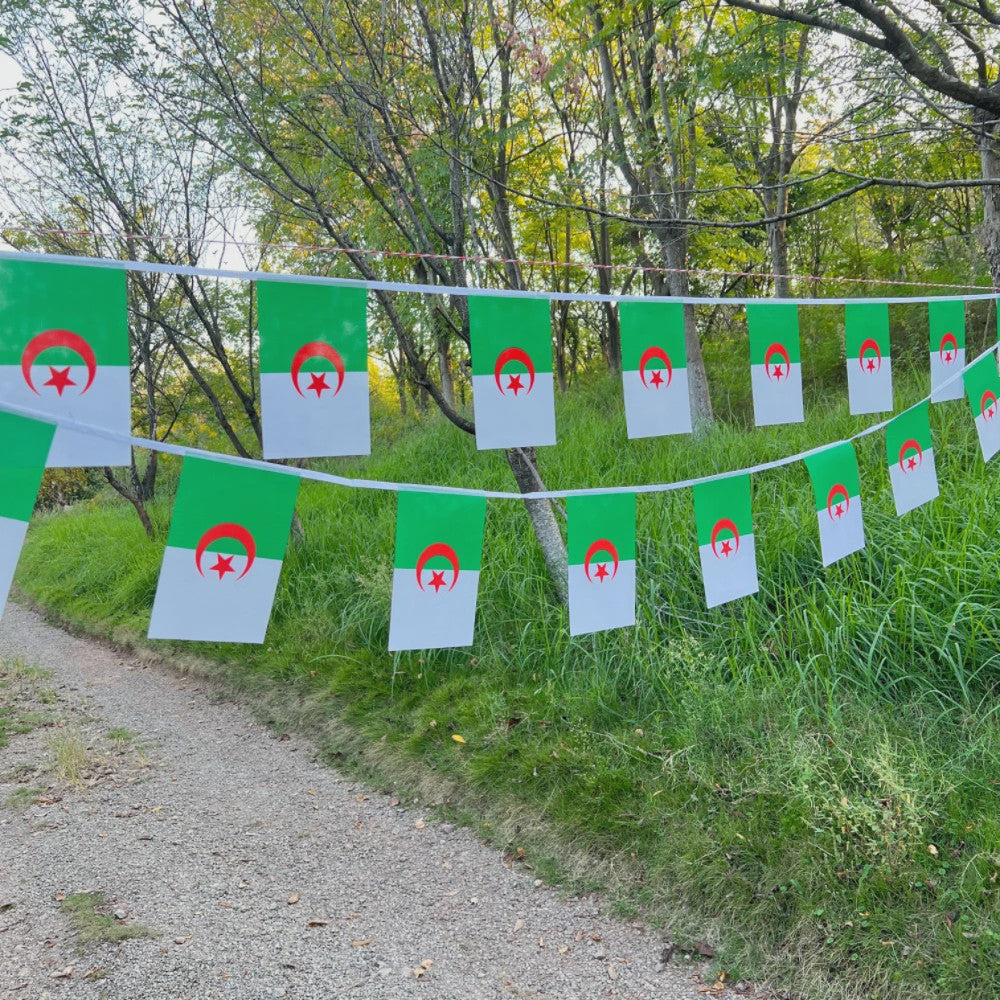 Algerijnse Vlaggetjes Slingers - 20 Stuks - 14x21cm - Feestdecoratie