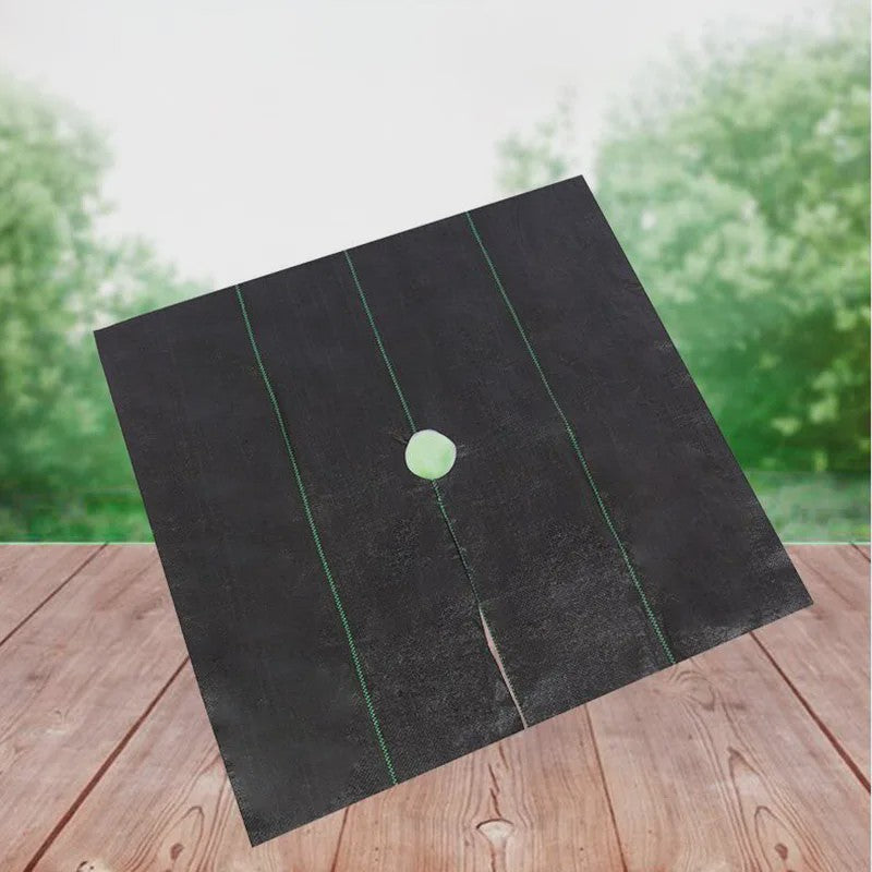 Onkruiddoek Bodembedekker 0.8M/1M - Ademend & Voedend voor Tuin & Boomgaard