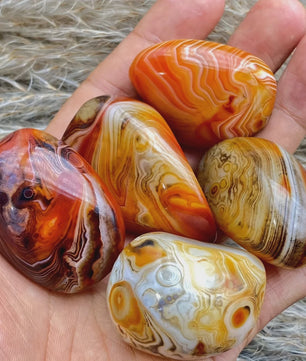 Natuurlijke Sardonyx Agate Palmsteen - Gepolijste Helende Kristal voor Hand & Energie