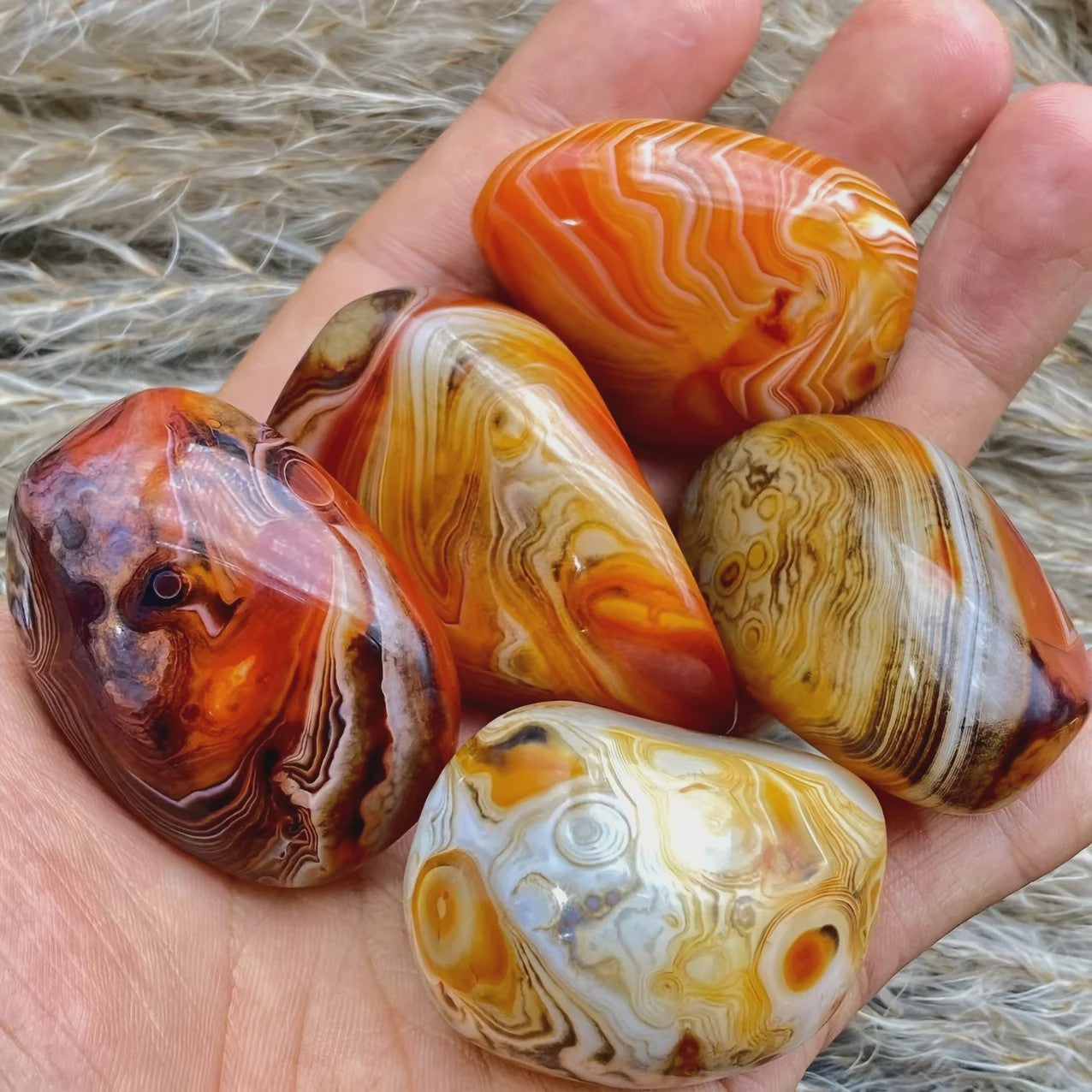 Natuurlijke Sardonyx Agate Palmsteen - Gepolijste Helende Kristal voor Hand & Energie