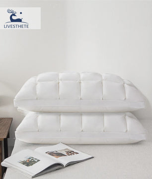 Luxe 100% Ganzendons Kussen - Winter Collectie - Queen/King Size - Katoen