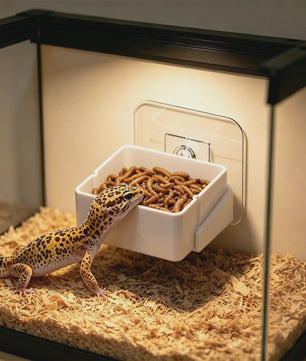 Wandmontage Voerbak voor Reptielen - Veilig en Praktisch