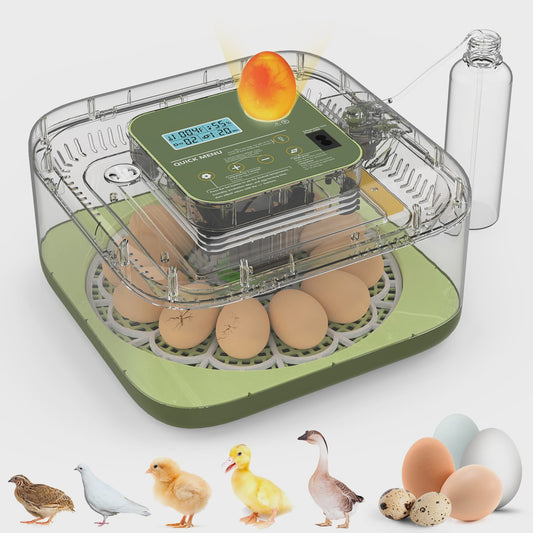 Automatische Incubator voor 12 Eieren met Temperatuur- en Vochtigheidsregeling