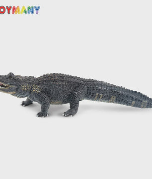 Realistische Alligator Speelfiguur - Wildlife Model voor Kinderen, Cadeau & Taartdecoratie