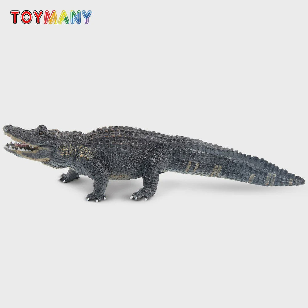 Realistische Alligator Speelfiguur - Wildlife Model voor Kinderen, Cadeau & Taartdecoratie