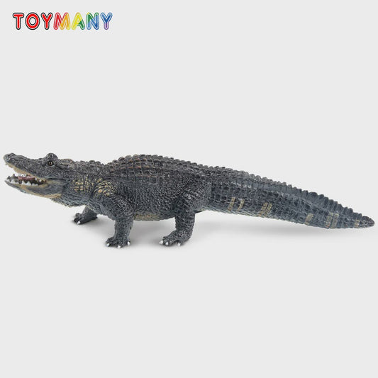 Realistische Alligator Speelfiguur - Wildlife Model voor Kinderen, Cadeau & Taartdecoratie