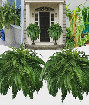 Kunstplant Boston Varen - Levenssechte Kunstvaren, UV-bestendig voor Buiten & Binnen Decoratie