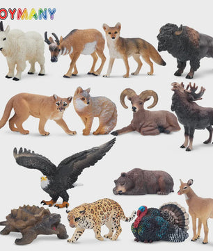 Toymany Noord-Amerikaanse Dieren Speelgoedset - 14 Realistische Mini Figuren