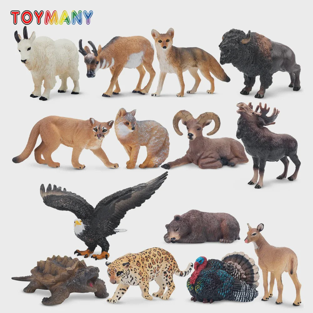 Toymany Noord-Amerikaanse Dieren Speelgoedset - 14 Realistische Mini Figuren