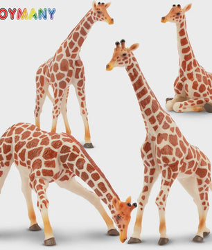 Set van 4 Realistische Giraffe Figuren - Speelgoed Dieren voor Kinderen