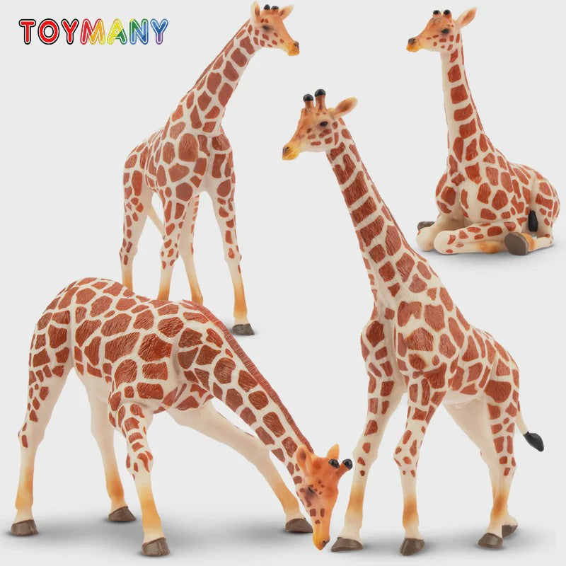 Set van 4 Realistische Giraffe Figuren - Speelgoed Dieren voor Kinderen