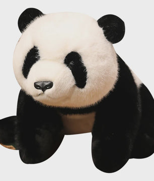Knuffelbeer Pluche: Bruine Beer, IJsbeer of Panda - 30/45/65cm - Zacht en Gewogen