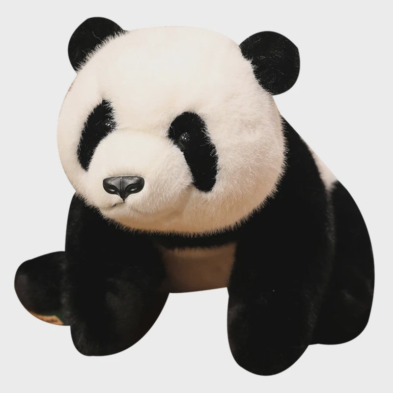 Knuffelbeer Pluche: Bruine Beer, IJsbeer of Panda - 30/45/65cm - Zacht en Gewogen