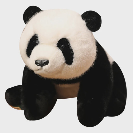 Knuffelbeer Pluche: Bruine Beer, IJsbeer of Panda - 30/45/65cm - Zacht en Gewogen