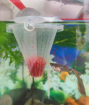 2x Aquarium Voederbeker Kegelvormig - Voor Levend Voer