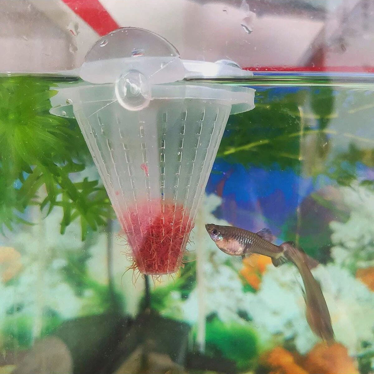 2x Aquarium Voederbeker Kegelvormig - Voor Levend Voer