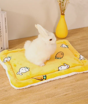 Zacht Pluche Huisje & Mat voor Kleine Huisdieren - Warm & Comfortabel