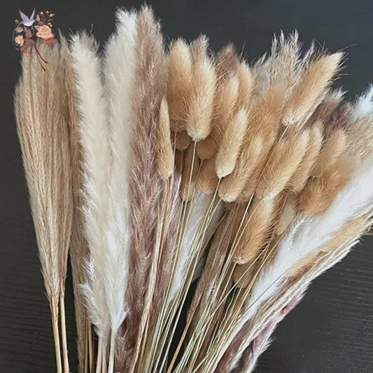 Natuurlijk Pampas Gras Boeket - Gedroogde Bloemen voor Boho Woondecoratie & Bruiloft