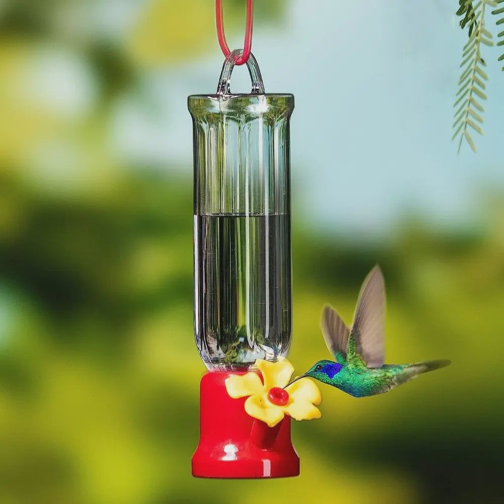 Draagbare Vogel Drinkfles met Ophangdraad - Transparant Plastic Voederbakje voor Tuinvogels