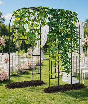 Zwarte Metalen Tuinboog 2.2m - Klimrek voor Klimplanten, Groenten & Rozen