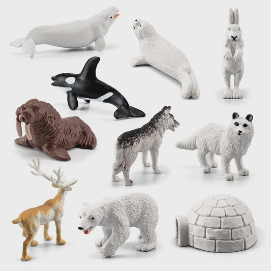 Set van 10 Arctische Dieren Figuren - Realistische Poolbeer, Zeehond, Walrus & Meer