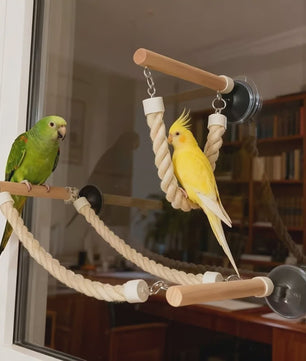 Vogel Speeltouw met Zuignap - Klimtouw, Schommel & Ladder voor Papegaaien en Vogels - Plezier & Verrijking