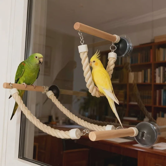 Vogel Speeltouw met Zuignap - Klimtouw, Schommel & Ladder voor Papegaaien en Vogels - Plezier & Verrijking