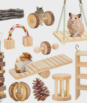 Houten Knaagdier Speelgoed Set: Kauwspeeltjes & Tandverzorging voor Konijn, Cavia, Rat