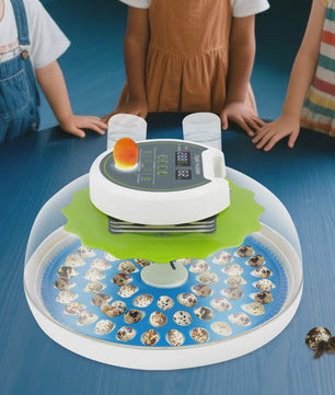 Automatische Broedmachine voor 60 Eieren met Temperatuurregeling en Watertoevoer