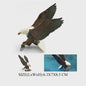 Realistische Roofvogel Figuren Set: Adelaar, Gier & Secretarisvogel - Educatief Speelgoed