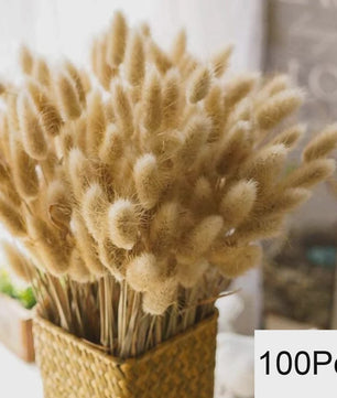 Natuurlijk Pampas Gras Boeket - Gedroogde Bloemen voor Boho Woondecoratie & Bruiloft