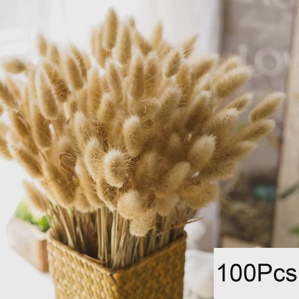 Natuurlijk Pampas Gras Boeket - Gedroogde Bloemen voor Boho Woondecoratie & Bruiloft