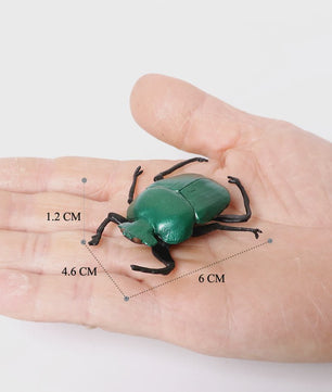 Realistische Insecten & Slakken Modellen - Educatief Speelgoed, Verzamelen & Decoratie