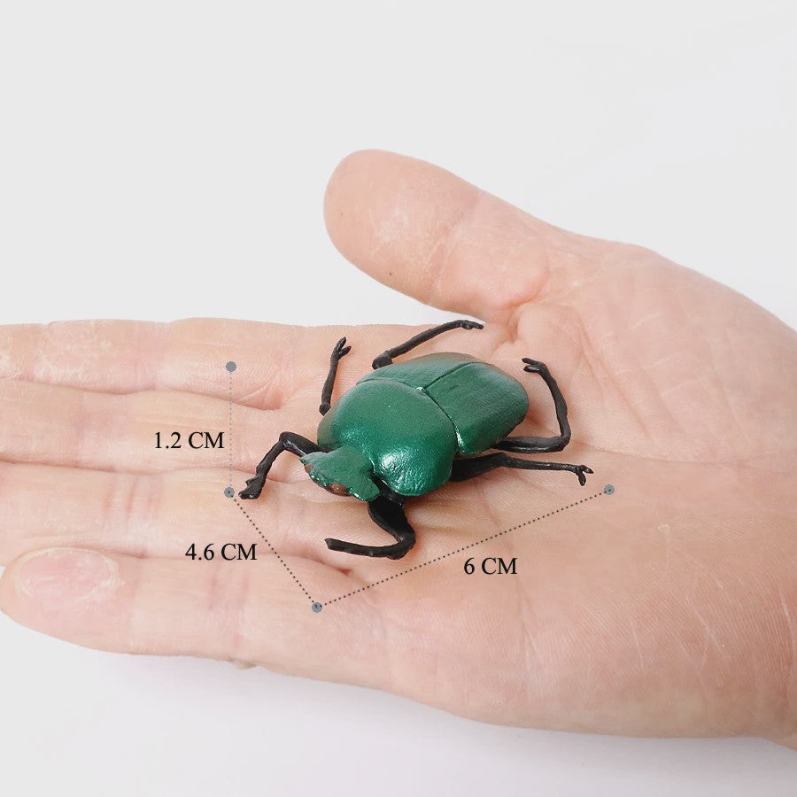 Realistische Insecten & Slakken Modellen - Educatief Speelgoed, Verzamelen & Decoratie