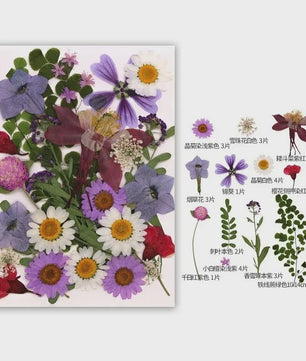 30 Stuks Gedroogde Persbloemen - Natuurlijke Bloemen & Bladeren voor Resin Art, Knutselen en Decoratie