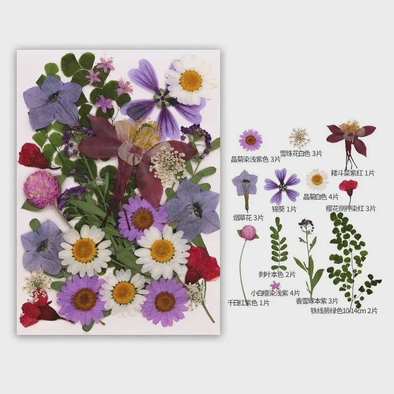 30 Stuks Gedroogde Persbloemen - Natuurlijke Bloemen & Bladeren voor Resin Art, Knutselen en Decoratie