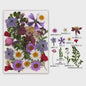 30 Stuks Gedroogde Persbloemen - Natuurlijke Bloemen & Bladeren voor Resin Art, Knutselen en Decoratie