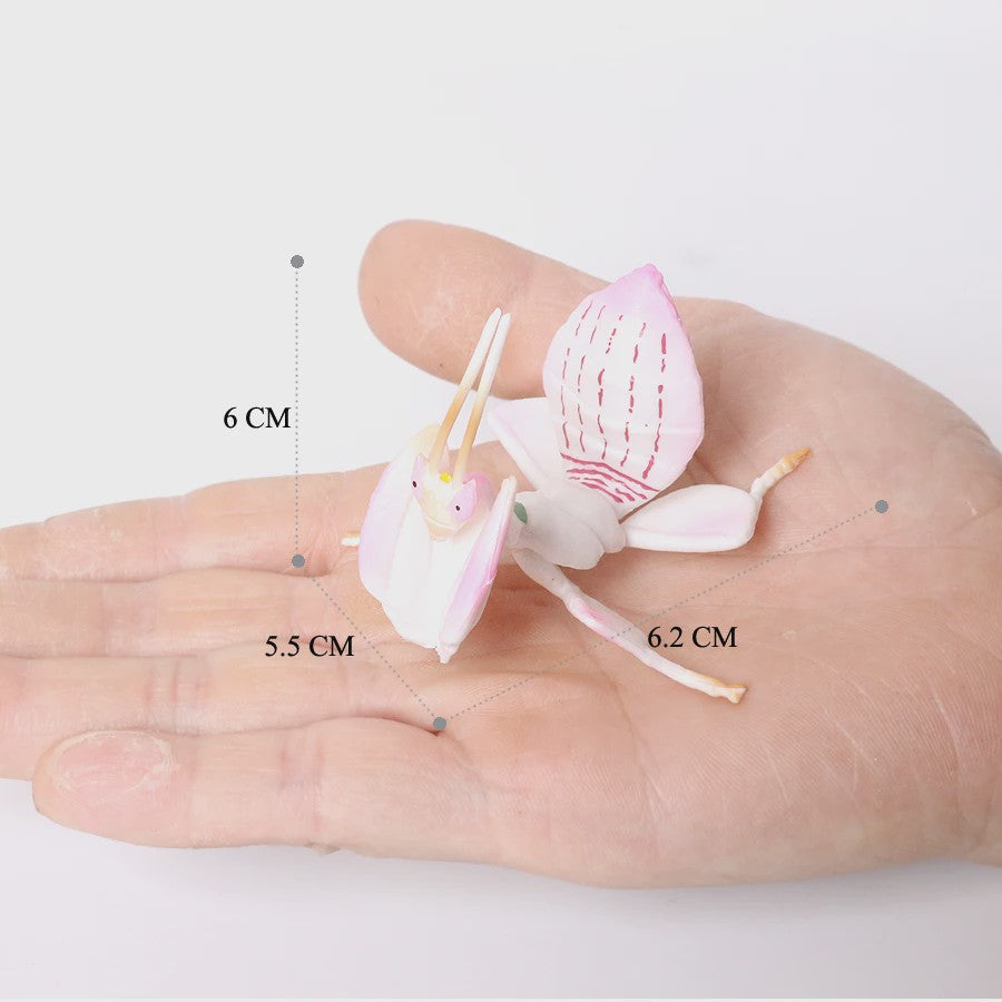 Realistische Insecten Model Figuren: Bidsprinkhaan, Bladwesp & Meer - Educatief Speelgoed & Decoratie