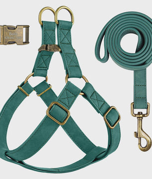 Luxe PU Leder Hondentuig met Leash en Gepersonaliseerde ID Gesp - Duurzaam voor Kleine & Middelgrote Honden