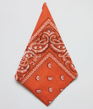 Klassieke Katoenen Bandana 55x55cm - Paisley Print Hoofdband voor Dames & Heren