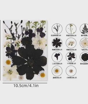 Set Gedroogde Bloemen & Bladeren (16-19 Stuks) - Natuurlijk & Realistisch