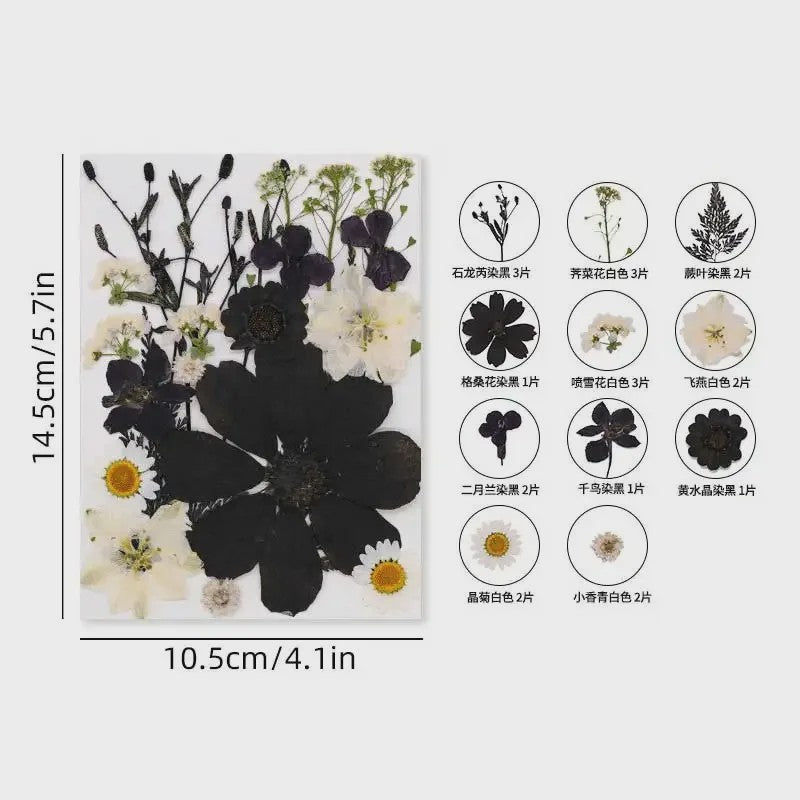 Set Gedroogde Bloemen & Bladeren (16-19 Stuks) - Natuurlijk & Realistisch